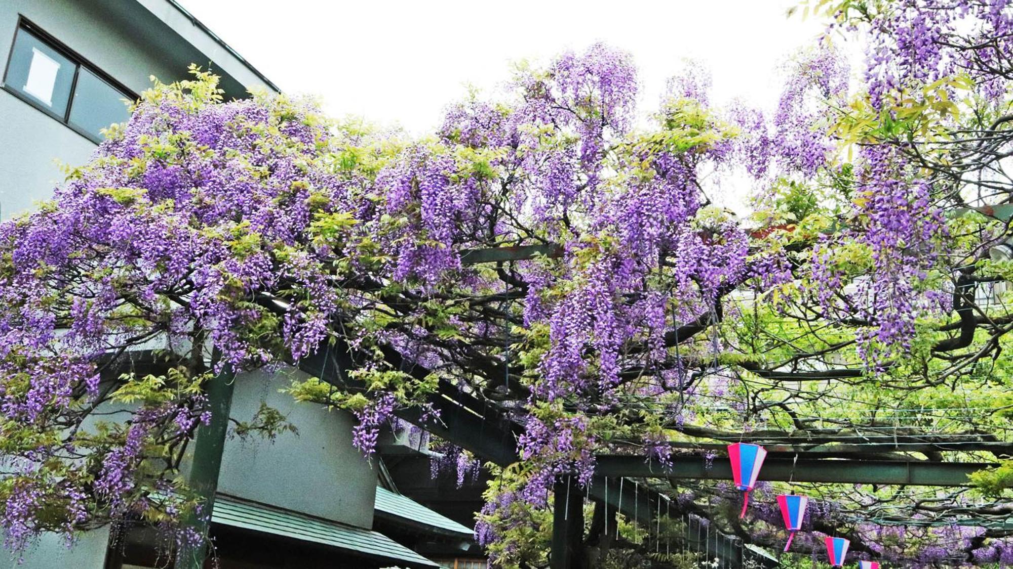 Toyoko Inn Chofu Keio Sen Fuda Eki Exterior foto